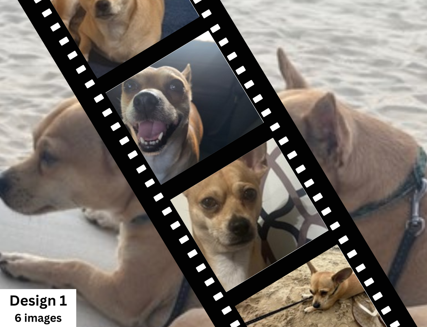 MajorFLEX - Photo Tumbler Designs-  Add Your Own Pictures!