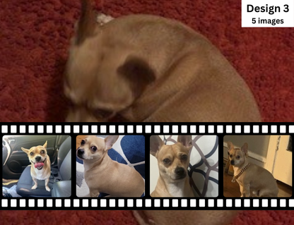 MajorFLEX - Photo Tumbler Designs-  Add Your Own Pictures!